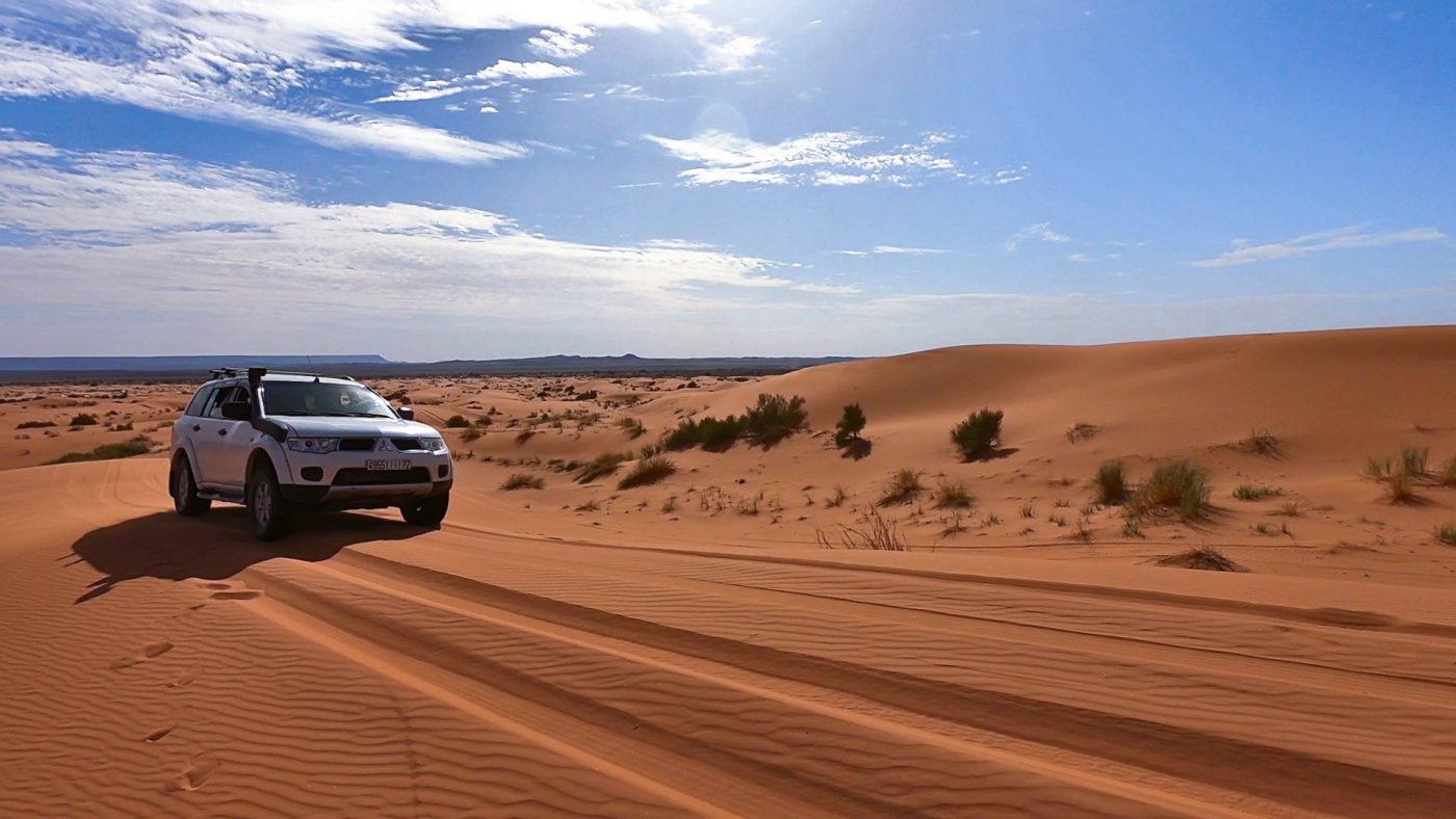 A dramatic shot of sand dunes during a desert sunset with a camel silhouette